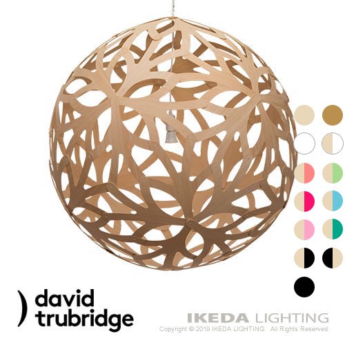 david trubridge