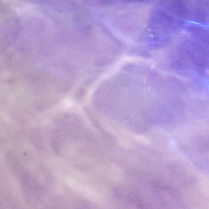 ξ -MURASAKI NO UE- οʥХåȡ