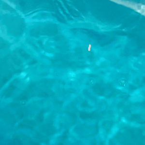 ϡ -SUIREN- οʥ֥롼