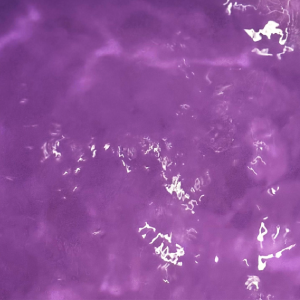 Ȥ -SATORI- οʥѡץ