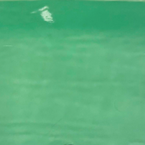  -KOKESHIMIZU- οʥ饤ȥ꡼