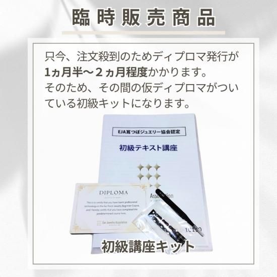 耳つぼジュエリー認定講師×テキスト講座セット ディプロマ発行