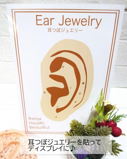 B5:耳つぼ（DVD）学ぶ・臨床48例集本+チャート（ジュエリー必須）プロの本 Amazon.co.jp: B8：耳つぼ耳部反射療法専門書48例集+人体臓器