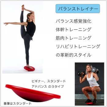 両足用 バランストレイナー（スタンダードモデル）/  体幹、バランス感覚強化、筋トレ