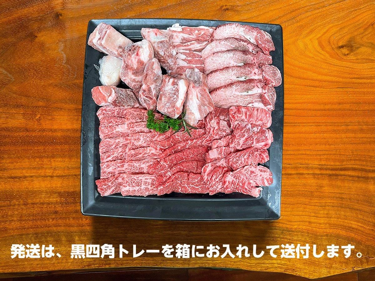 焼肉バーベキューセット 特選満足