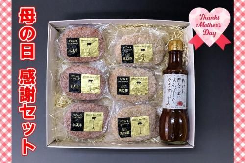 お母さん ありがとう ハンバーグセット ギフト箱 のし付き ★冷凍<img class='new_mark_img2' src='https://img.shop-pro.jp/img/new/icons29.gif' style='border:none;display:inline;margin:0px;padding:0px;width:auto;' />