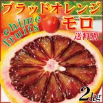 愛媛県産 家庭用 モロ ２kg （ブラッドオレンジ）