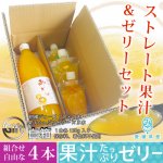 愛媛産ジュース１本＆果汁たっぷりゼリー３本セット（白箱）