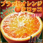 愛媛県産 家庭用 タロッコ １０kg （ブラッドオレンジ）