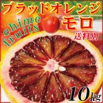 愛媛県産 家庭用 モロ １０kg （ブラッドオレンジ）