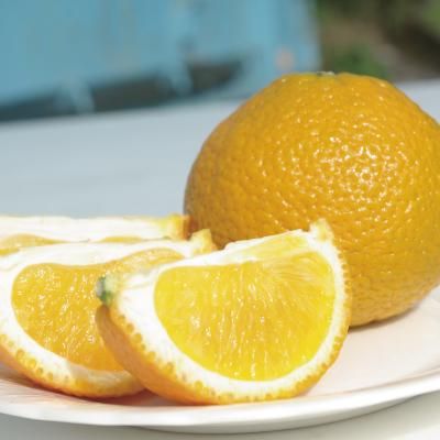 楽天市場】【 送料無料 】佐賀 スイートスプリング 1箱 約2kg