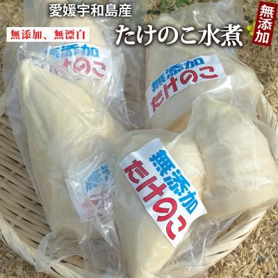 国産たけのこ,無添加,タケノコ水煮,モウソウダケ