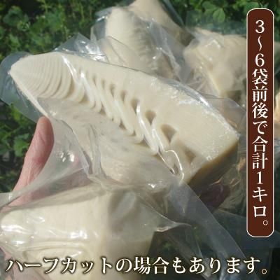 国産たけのこ,無添加,タケノコ水煮,モウソウダケ