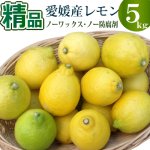 愛媛産レモン５kg