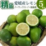 10ȯͽ ɲ꡼kg