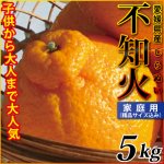 愛媛県産 家庭用 不知火 ５kg （しらぬい）