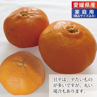 ㊙️ 愛媛県宇和島産 爺の甘平 Aランク品 箱別約3kg 柑橘ミカン | www
