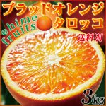 愛媛県産 家庭用 タロッコ ３kg （ブラッドオレンジ）