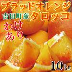 愛媛県産 訳あり タロッコ １０kg （ブラッドオレンジ）ネーブルに似た風味です。