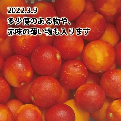 愛媛県産「訳ありブラッドオレンジ（2S-3L）」10kgの通販