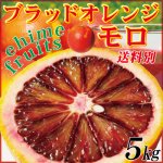 愛媛県産 家庭用 モロ ５kg （ブラッドオレンジ）