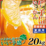 愛媛県産 家庭用 伊予柑 ２０kg （10kg×２箱）
