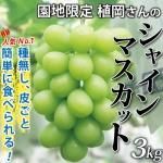ȯͽڤϤԲġ ɲ  㥤ޥå kg ¢ȯˡʤ֤ɤʳƱԲġ 륮å ֤ɤ