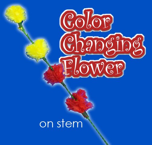 Color Changing Flower On Stem