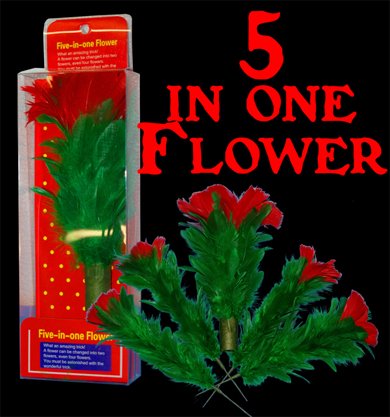 Five in One Flower -  Feather