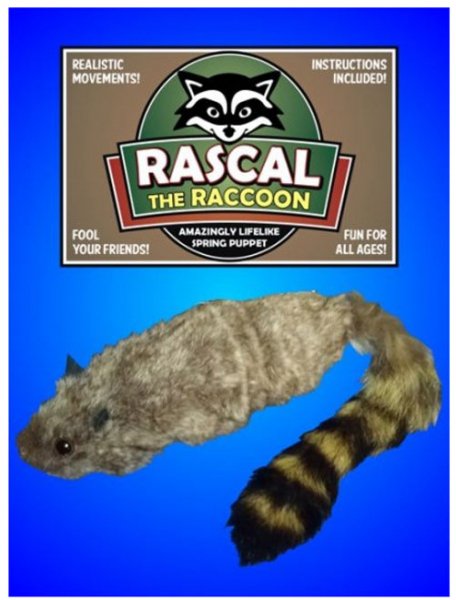Rascal Racoon