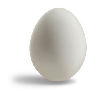 Rubber Egg, Superior - White