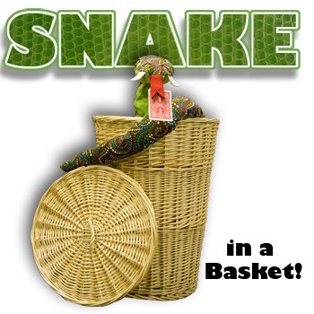 Snake Basket, R. Control