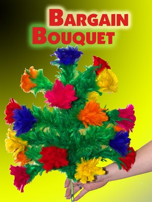 Bargain Feather Bouquet 10