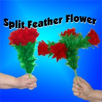 Split Feather Flower - 4