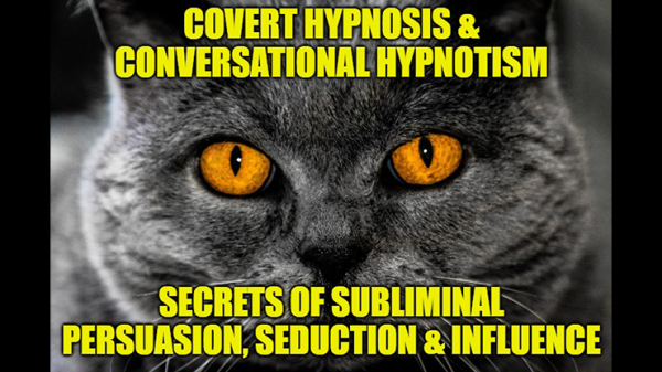 INTERPERSONAL NEURAL SYNCHRONYCovert Hypnosis, Conversational Hypnotism, Influence, Persuasion, Nego