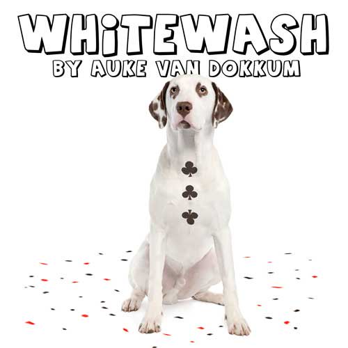 Whitewash - by Auke van Dokkum