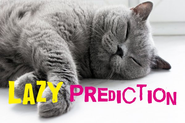 Lazy Prediction