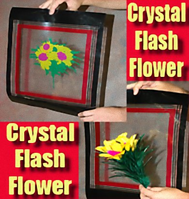 Crystal Flash Flower - Feather