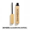 ޤ椲Ʊեǥ֥GrandeBROW