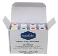 ꥫ顼8åȡJunior Kitڳ21gAmericolor Soft Gel Paste