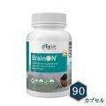 ڥ롪E3Live BrainON 90ץ롡˥å ѡա ŷ꡼饤 ֥롼꡼󥢥른