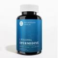 ݥ ڥߥ 50mg120 ץ Neurogan- Spermidine 6000mg ݥꥢߥ ݥޥ