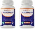 ܥåȥåޥ󥷥 ץ  60ץ󣲤ʬAFUݡ1 Billion Akkermansia Muciniphila VITAMATIC 60 Caps