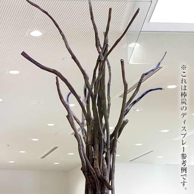 紀州備長炭 紀州備長炭 通販【こだわり品質・送料無料】｜朝内燃料