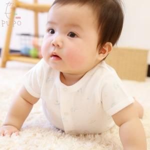 ڥ᡼OK(03)ۼ󤹤֤ˤ⤪ ѡ Ⱦµ  100% 60-70cm 