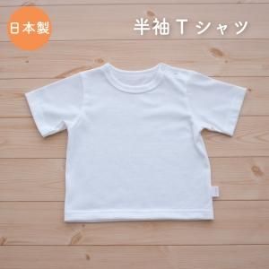 ڥ᡼OK(03)ۤä֤䤫忴ϤȾµT ŷ 100% ܥ ̵ϥۥ磻 70/80/90cm
