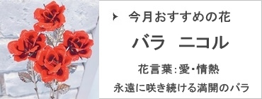 https://img15.shop-pro.jp/PA01086/567/etc_base64/NrfupKqkuaS5pOGkzrLWMg.JPG?cmsp_timestamp=20250610124322