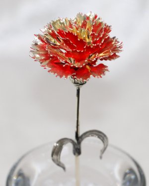 カーネーション 赤 葉有 シルバーフラワー 永遠の花 - 永遠の花　シルバーフラワー　acuoreb（アクオレブ）