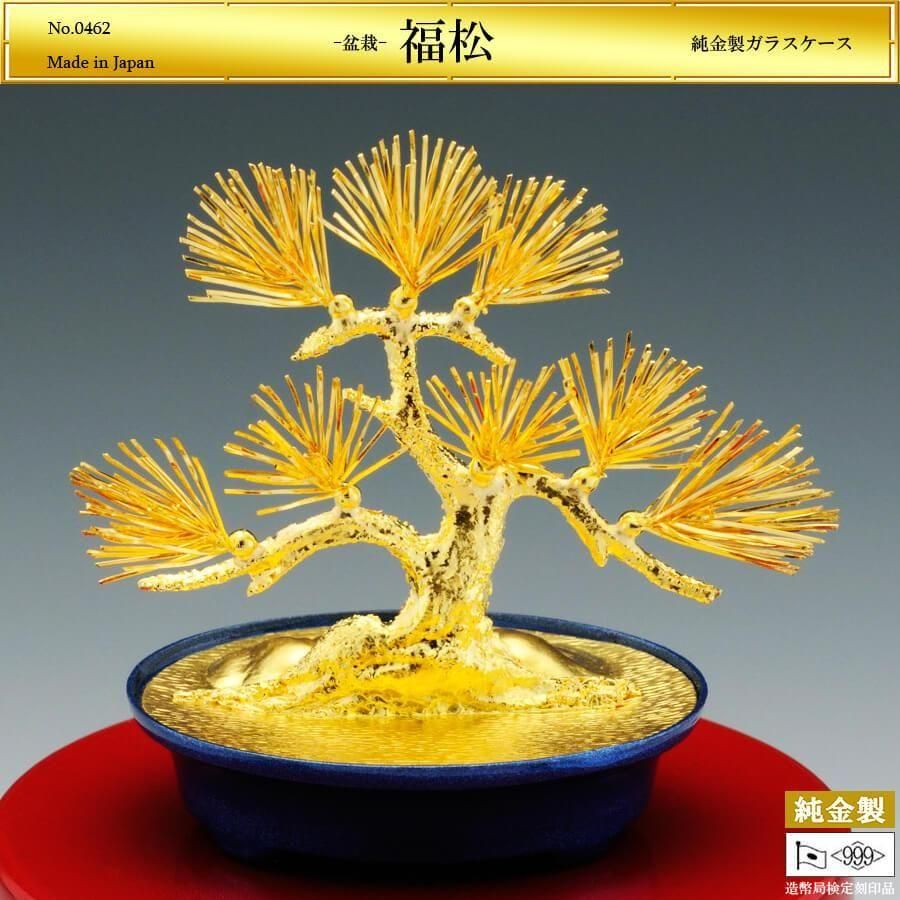 松香　盆栽鉢 Amazon.co.jp: どっしりとした幹から四方に枝を伸ばし風格のある