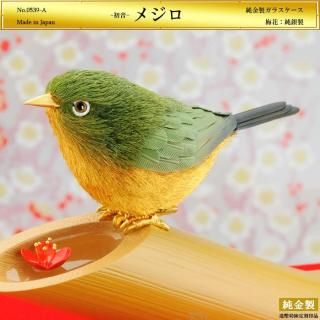 鲻 ᥸ý饹